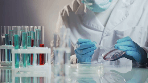 COD单页系统建站,联系QQ：494906791/微信：Cod_web