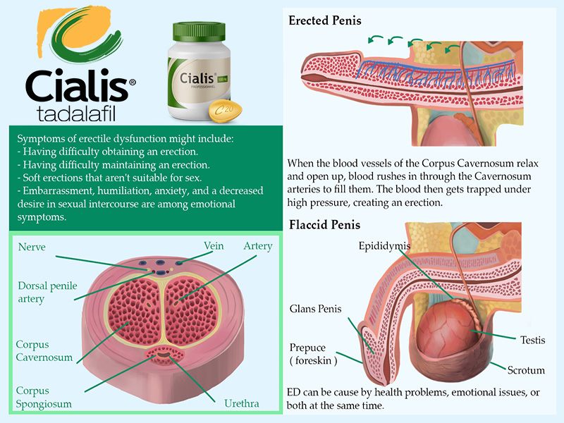 COD单页系统建站,联系QQ：494906791/微信：Cod_web