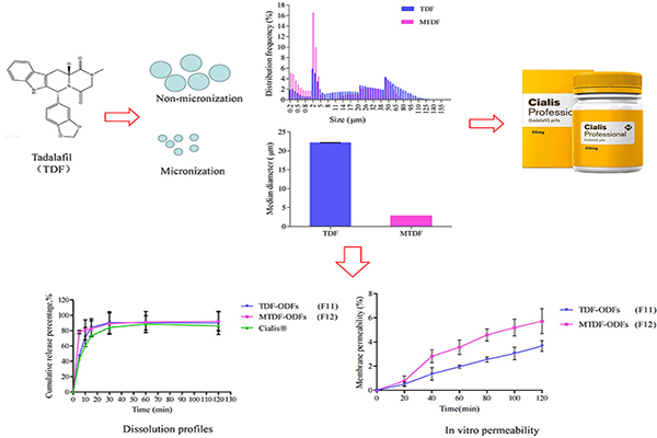 COD单页系统建站,联系QQ：494906791/微信：Cod_web