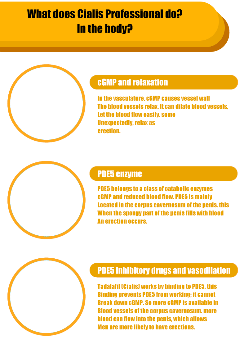 COD单页系统建站,联系QQ：494906791/微信：Cod_web