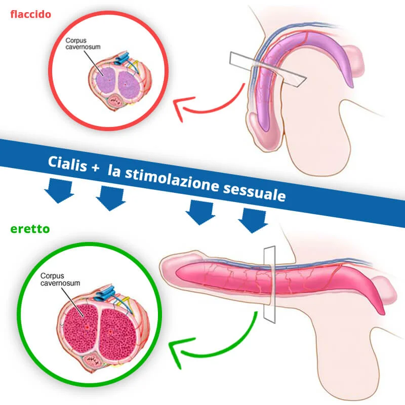 COD单页系统建站,联系QQ：494906791/微信：Cod_web