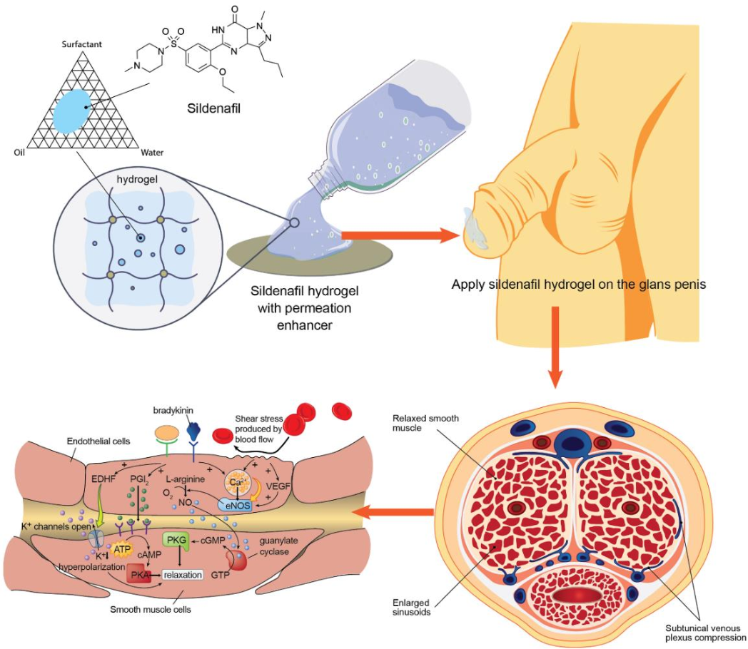 COD单页系统建站,联系QQ：494906791/微信：Cod_web